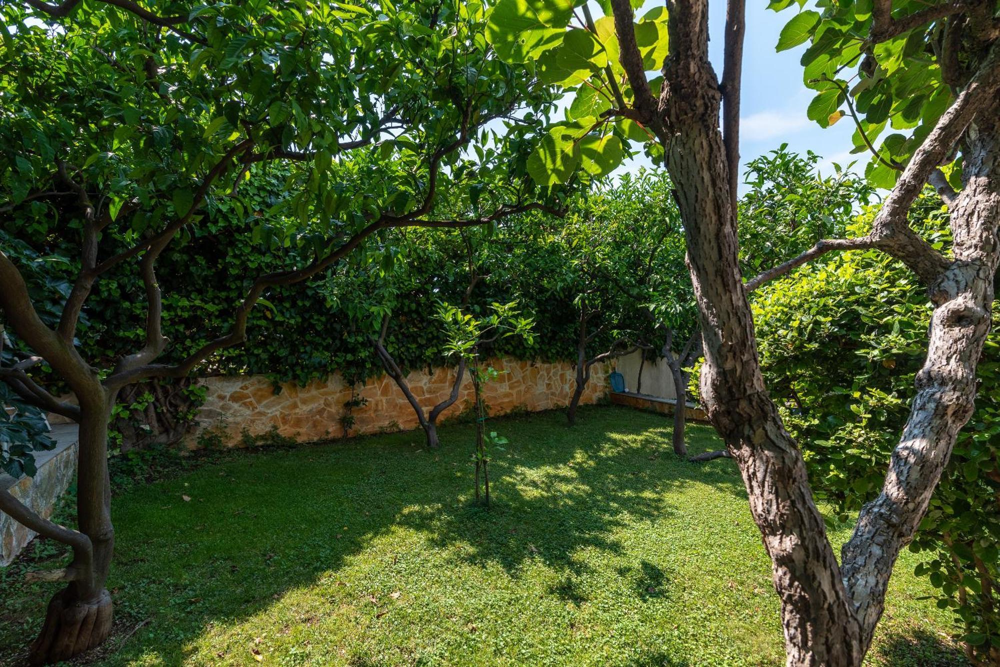 Villa Bakica โตรกีร์ ภายนอก รูปภาพ